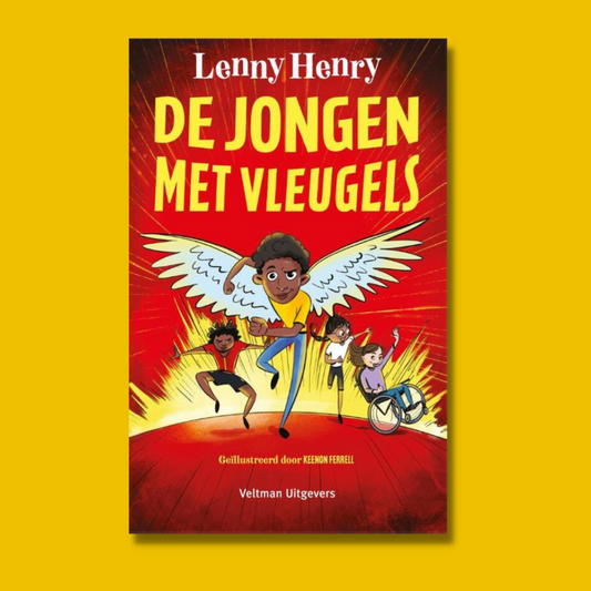 De jongen met vleugels